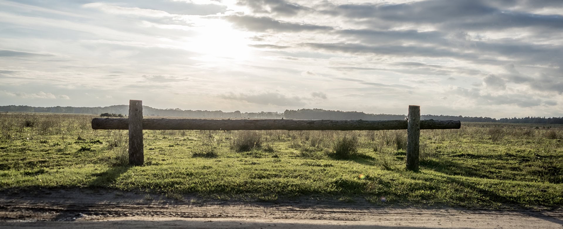 Natuurbegraven Maashorst UItvaartzorg van Tilburg